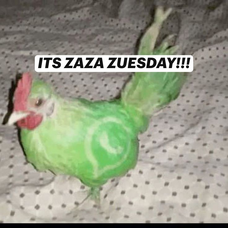 The green chicken captioned ITS ZAZA ZUESDAY